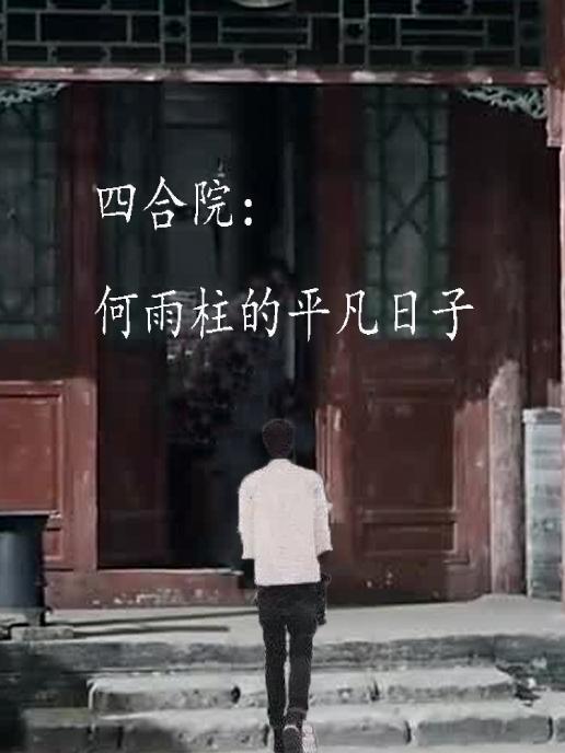 四合院:何雨柱的平凡日子