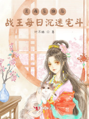 灵魂互换后,战王每日沉迷宅斗