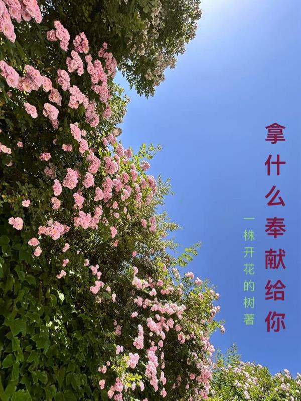 拿什么奉献给你