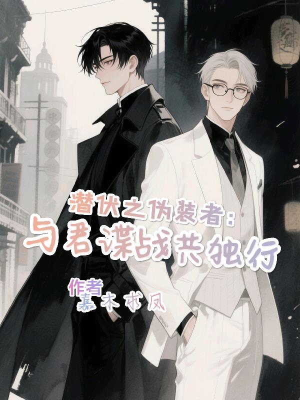 潜伏之伪装者:与君谍战共独行